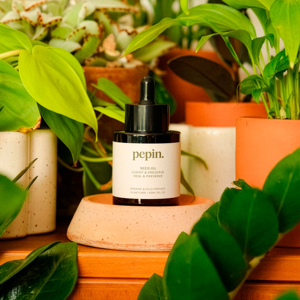 Huile de Neem insecticide naturel - - Bakker
