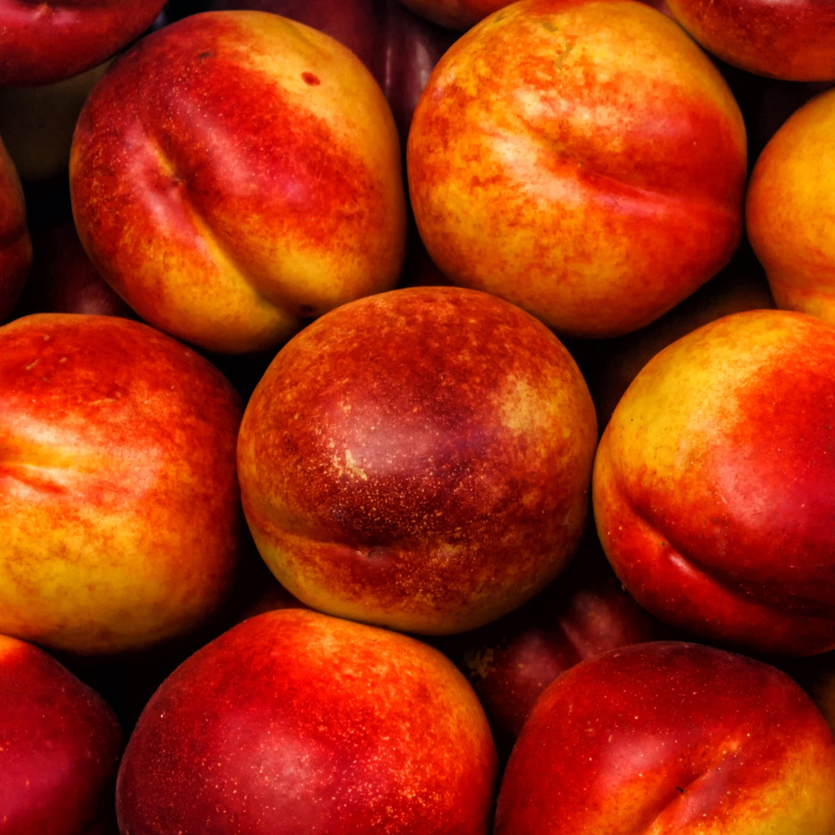 Nectarine Flavor - Bakker