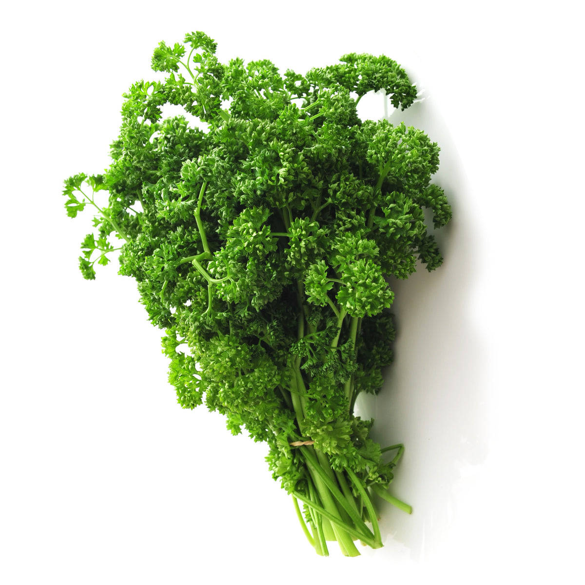 Vente Collection de 4 Plants Aromatiques basilic, ciboulette, persil, thym - Basilic, ciboulette, persil, thym