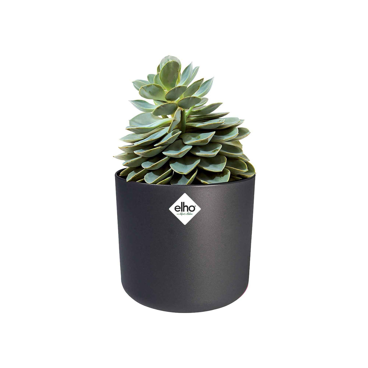 Elho Pot B.for soft rond anthracite - - Bakker