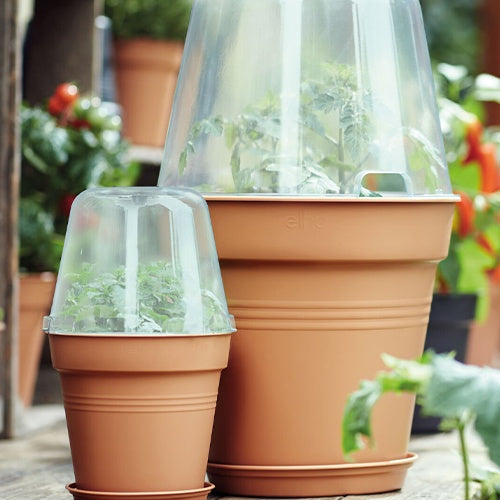 Vente Elho pot pour orchidée -