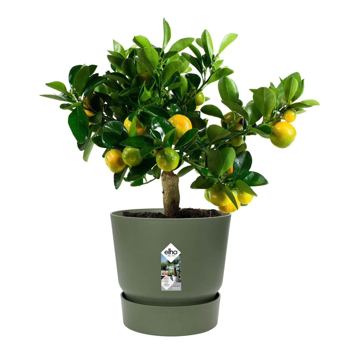 Jardinières et bacs à fleurs - Pot de fleurs Elho Greenville vert -