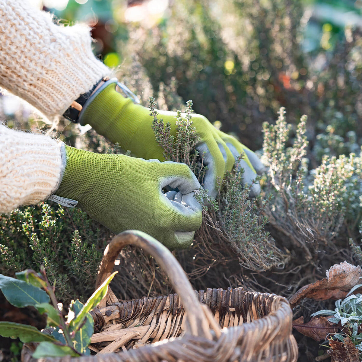 - Gant Colors de jardin vert anis - Entretien et Matériel