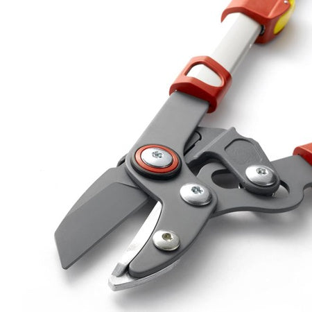 Elagueur premium télescopique enclume 50 mm WOLF - - Bakker