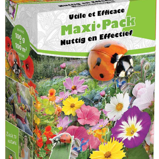 Graines de fleurs pour potager en mélange - 100 m² - Bakker