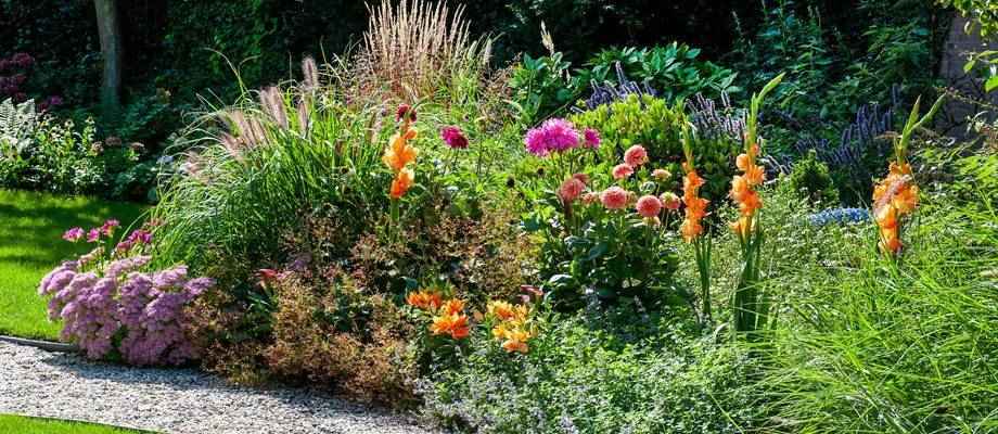 Massif de vivaces,de graminées et de fleurs à bulbes dans un jardin