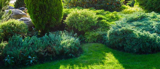 Un jardin vert toute l'année! - Bakker.com | France