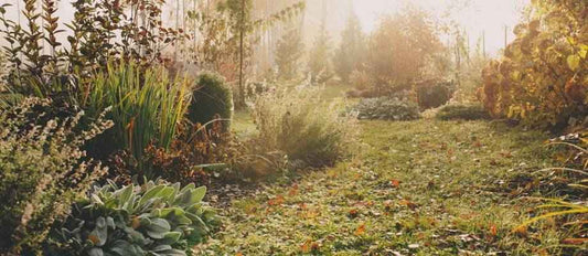 Check-list : préparez votre jardin, terrasse ou balcon pour l'hiver - Bakker.com | France