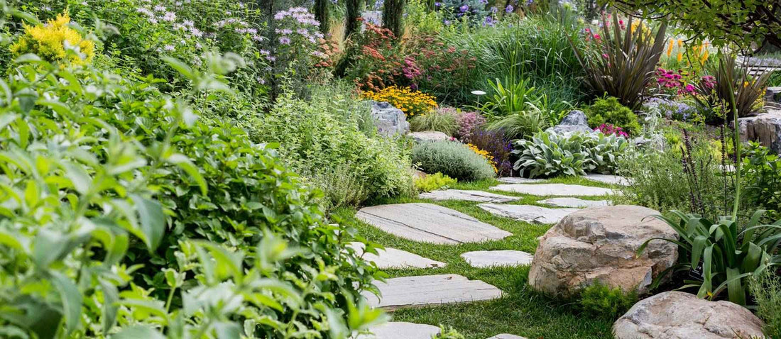 jardin avec une allée de dalles de pierre