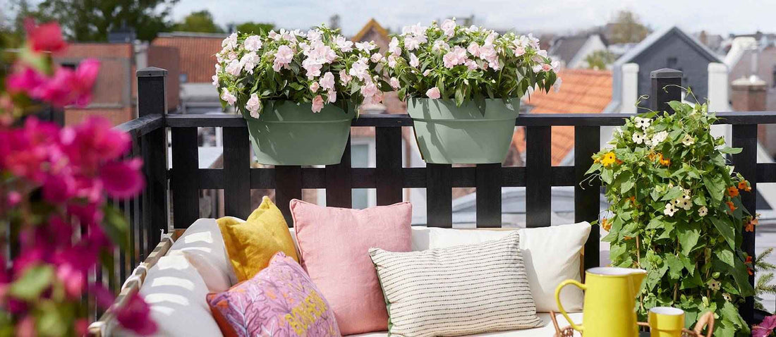 quelles plantes choisir pour un balcon fleuri
