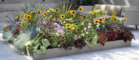 Kit pour bordures : la solution pour un jardin coloré