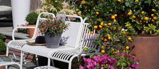 Vivez dehors: choisissez votre tendance jardin pour l'été! - Bakker.com | France