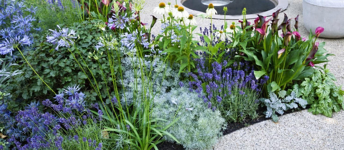 Jardiner 2.0 : combiner des plantes vivaces et des bulbes de fleurs - Bakker.com | France