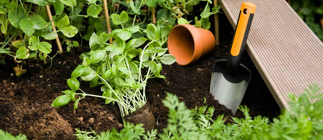 préparation du printemps au jardin 
