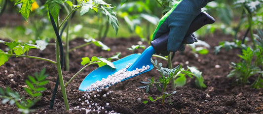 Tout ce que vous devez savoir sur la fertilisation de votre jardin - Bakker.com | France