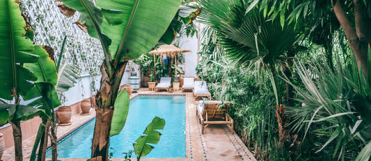 Créez un jardin balinais et évadez-vous: c’est comme si vous y étiez ! - Bakker.com | France