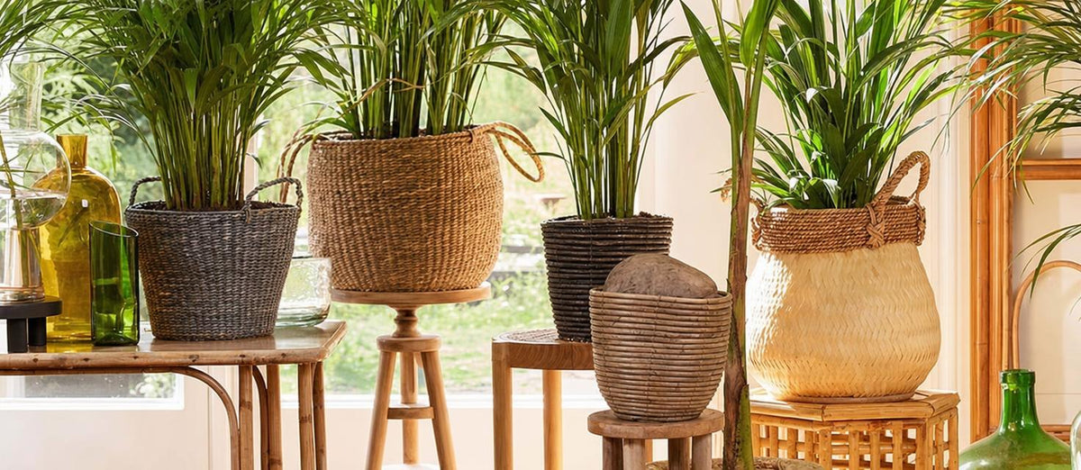 tendance remplacez les pots de vos plantes par des paniers