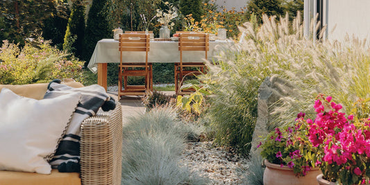 Les Plantes Décoratives qui Subliment Votre Terrasse