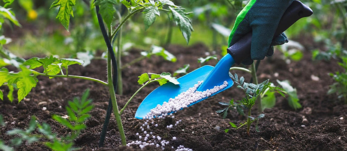 Tout ce que vous devez savoir sur la fertilisation de votre jardin - Bakker.com | France