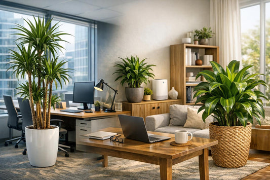 Le dracaena : la meilleure plante dépolluante pour votre bureau ou télétravail