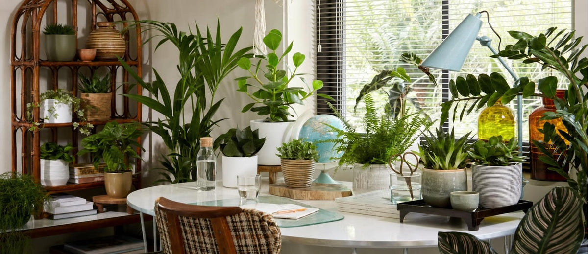 Du vert dans chaque pièce de la maison - Bakker.com | France