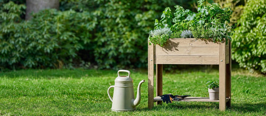 Un potager : par où commencer ? - Bakker.com | France