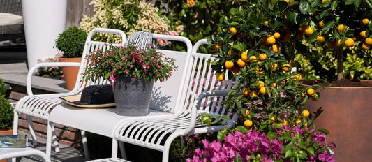 Vivez dehors: choisissez votre tendance jardin pour l'été! - Bakker.com | France