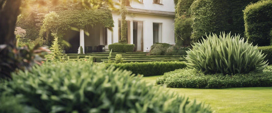 Comment hiverner vos plantes d'extérieur