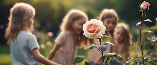 Découvrez différentes espèces de rosiers grimpants à grandes fleurs