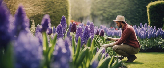 Instructions pas à pas pour planter des jacinthes dans un pot pour une floraison éclatante