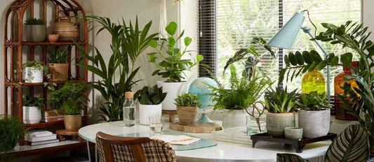 Colorez toutes les pièces de la maison en vert