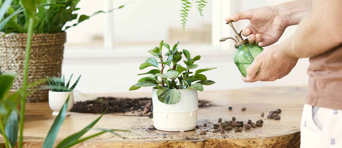 Par amour pour vos plantes - Bakker.com | France