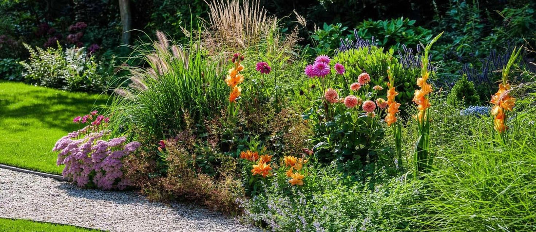 Massif de vivaces,de graminées et de fleurs à bulbes dans un jardin