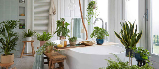 salle de bain décorée avec des plantes vertes