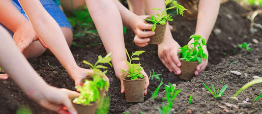 Cinq activités de jardinage pour vos enfants - Bakker.com | France