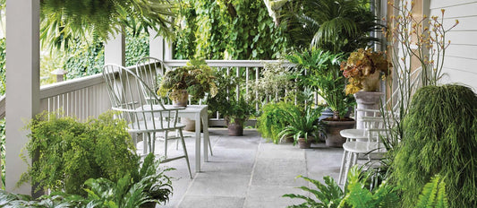 transformez son jardin en une jungle urbaine