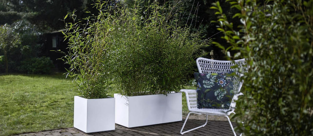 les tendances jardin 2022