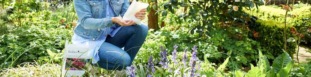 Engrais et amendements pour jardin