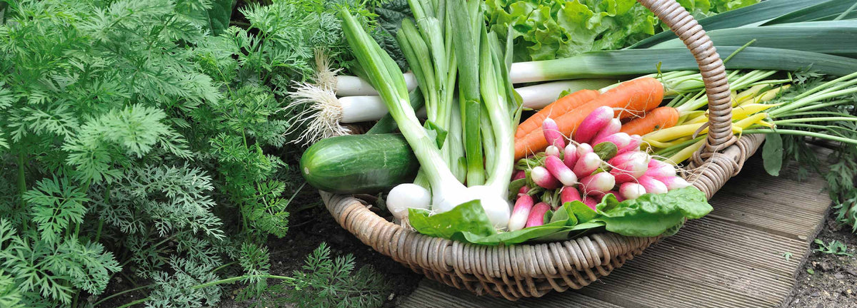 Légumes