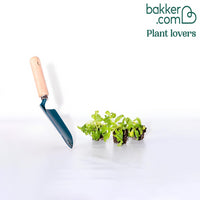 3 Valérianes rouges