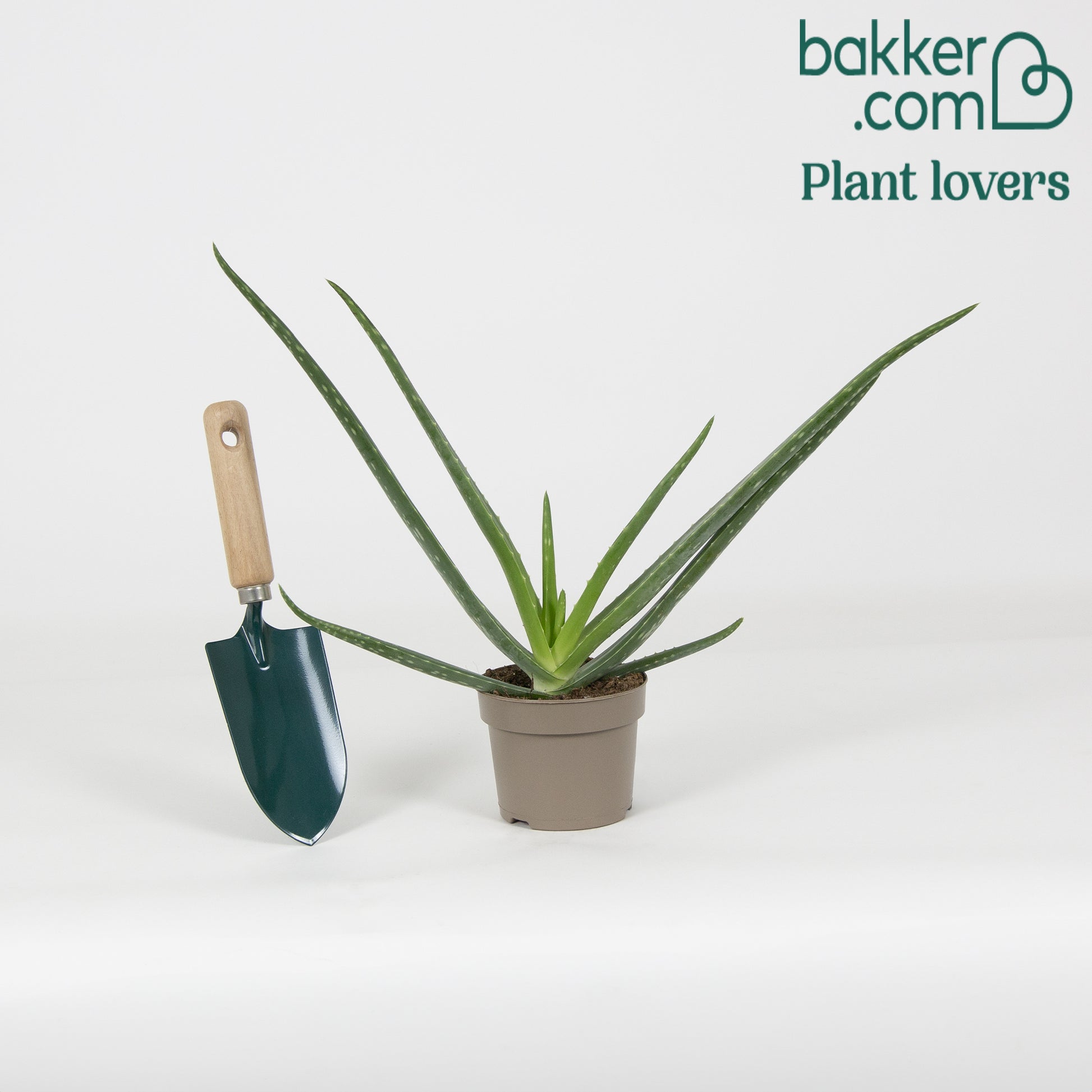 Bakker - Aloe vera - Aloe vera