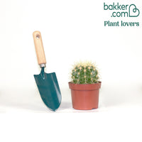 Coussin de belle-mère