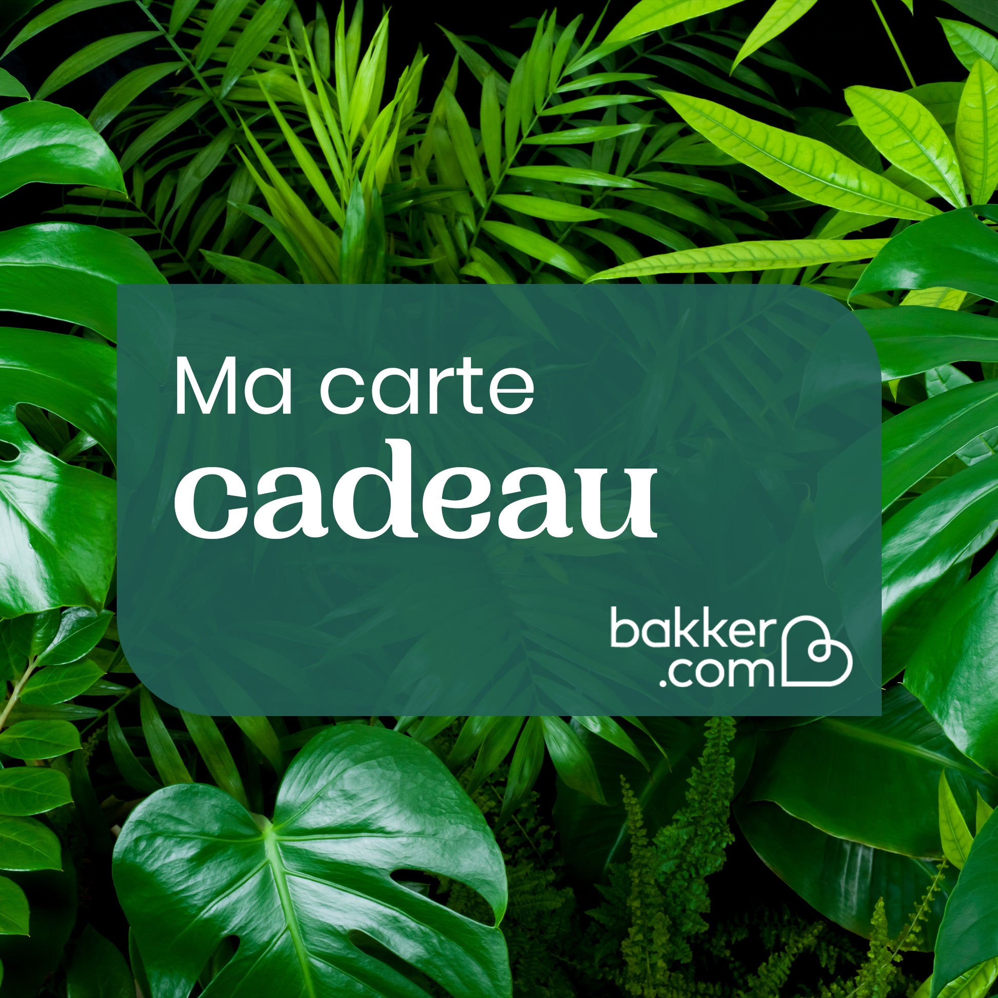 Carte cadeau Bakker