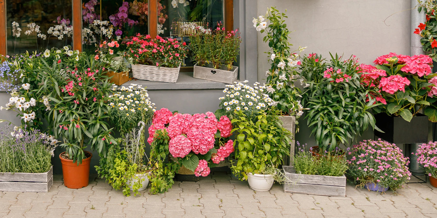 Black Week : ça continue jusqu’à -50% !