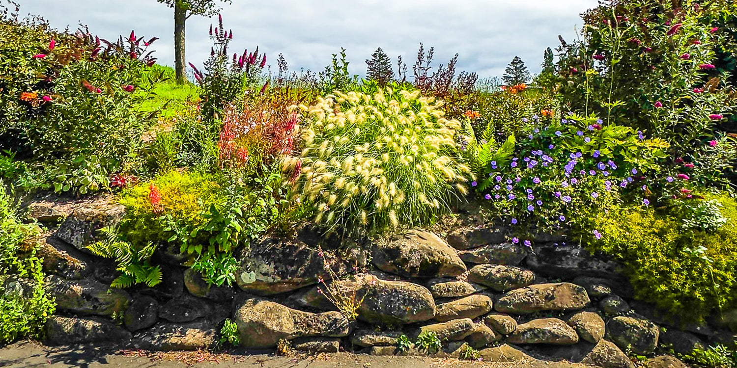 Les Green Days continuent jusqu’à -50% ! 