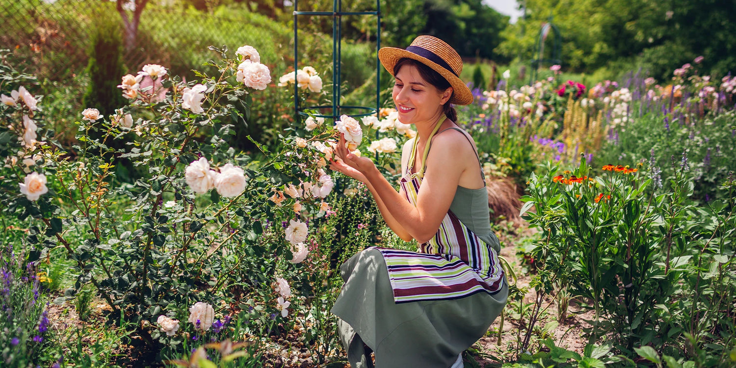 Un jardin aux mille parfums jusqu’à -30% !
