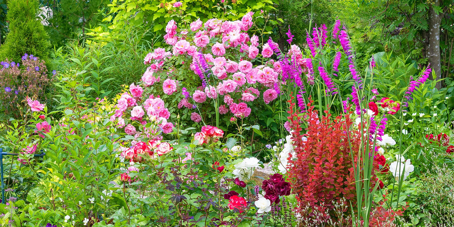 Les soldes d’hiver jusqu’à -60% : dernière ligne droite !