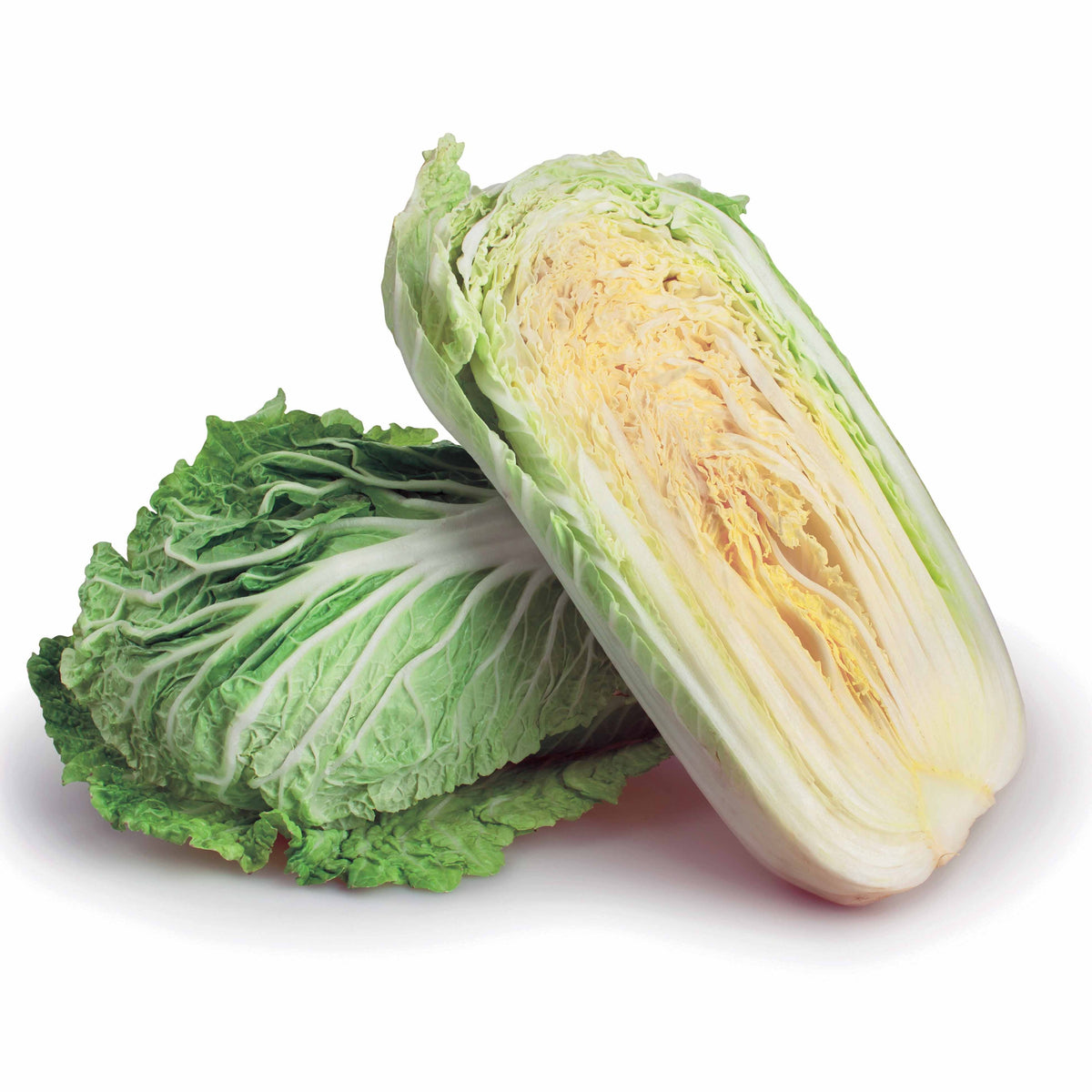 Graines de choux - Chou de Chine Pe-Tsai - Brassica rapa pekinensis pe-tsai