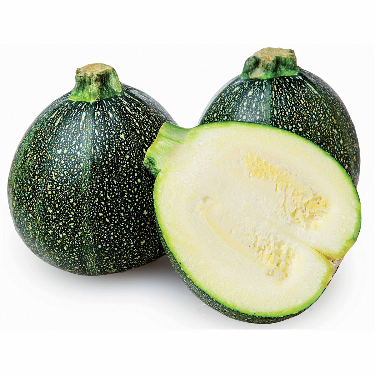 Cucurbita pepo de nice à fruits ronds - Courgette De Nice à fruits ronds - Graines de courgettes