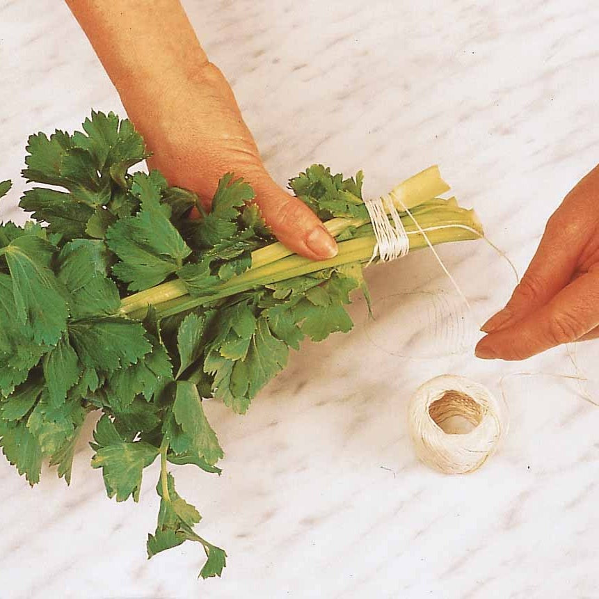 Graines d'aromatiques - Céleri vivace à couper - Apium graveolens